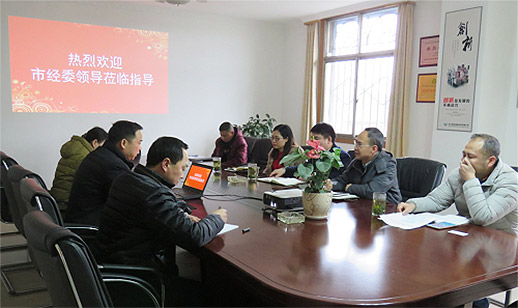成都市經(jīng)委張魯進副主任一行蒞臨維珍檢查指導(dǎo)工作